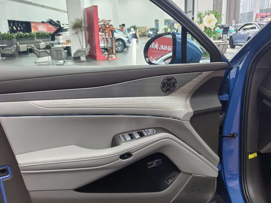 Denza N7 2023 car image #10