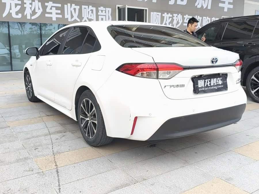 Toyota Levin 2024 car image #10