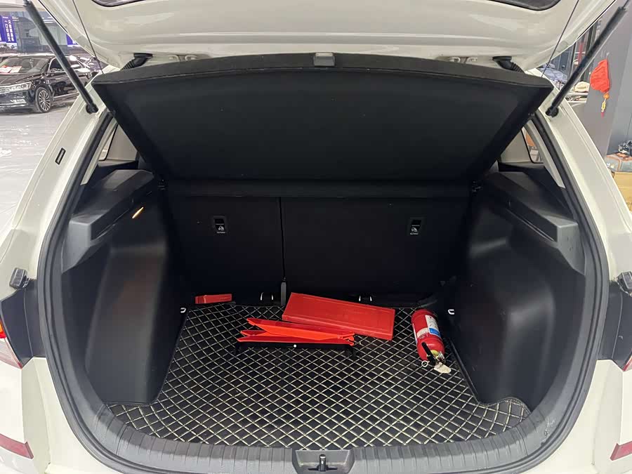 Skoda Kamiq 2020 car image #10