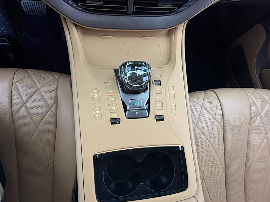 Denza D9 2023 изображение автомобиля #10