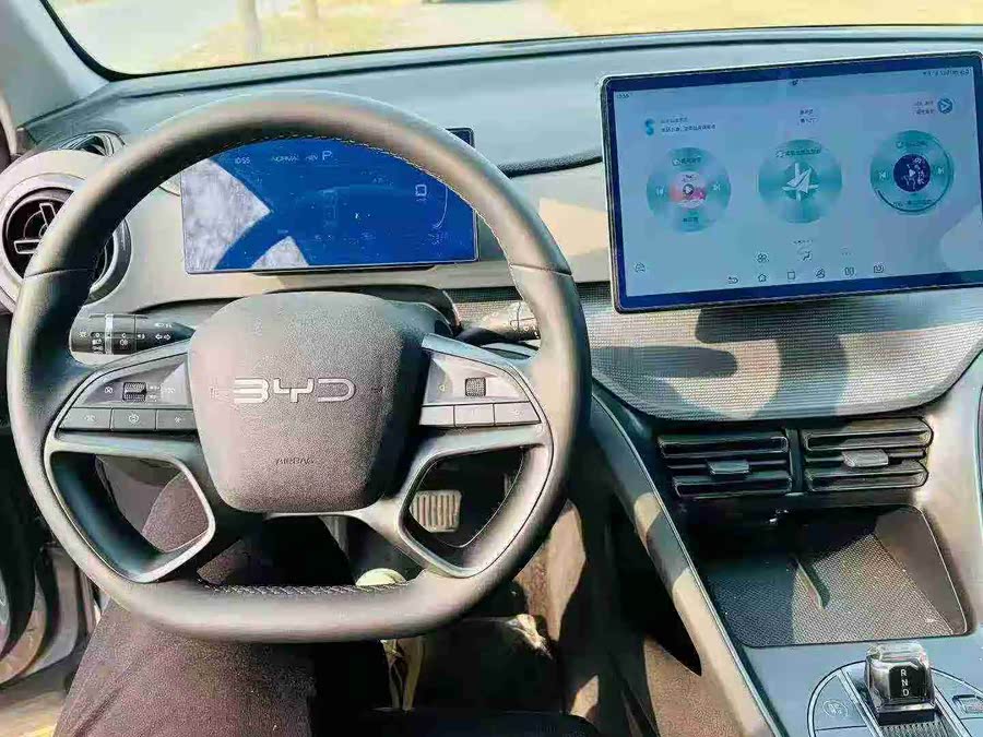 BYD Sea Lion 05 DM-i 2024 car image #10