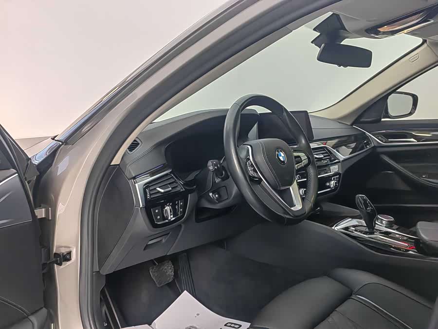 BMW 5 Series 2019 car image #10