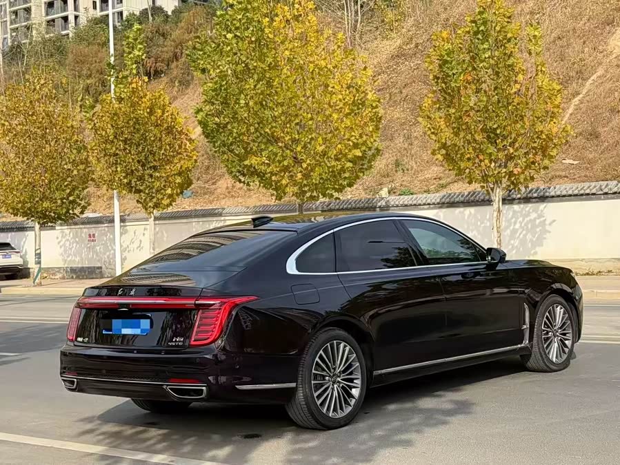 HongQi H9 2021 car image #10