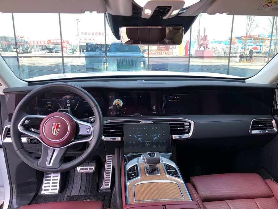HongQi E-HS9 2021 car image #10