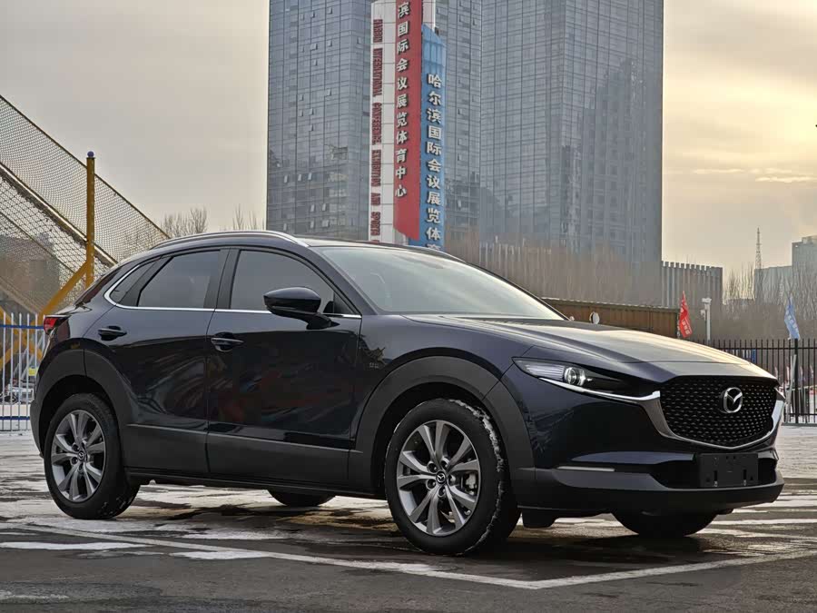 Mazda CX-30 2022 car image #10