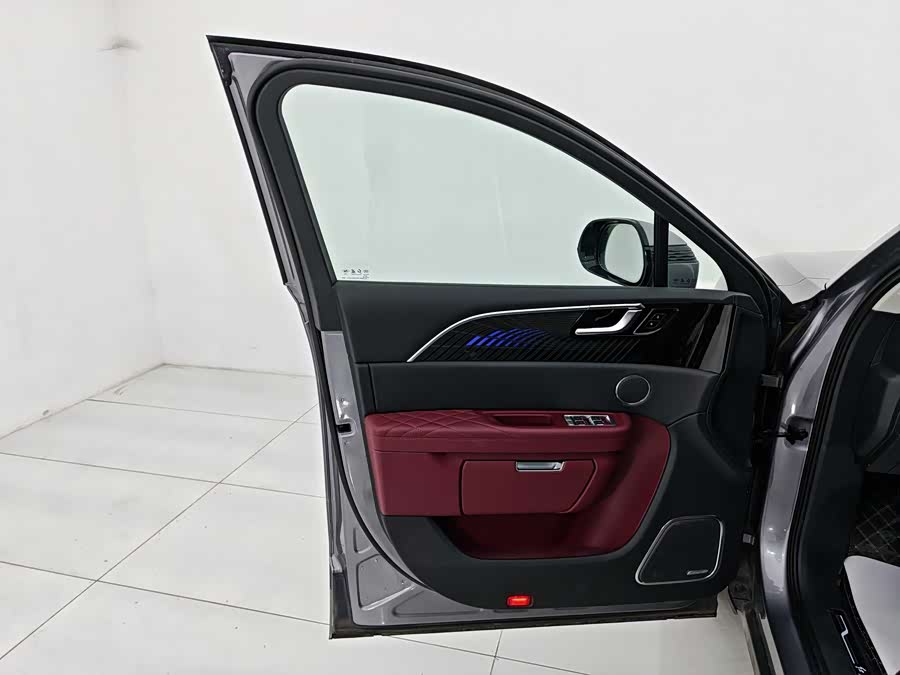 HongQi E-HS9 2023 car image #10