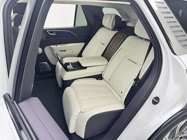 HongQi E-HS9 2023 image de voiture #10