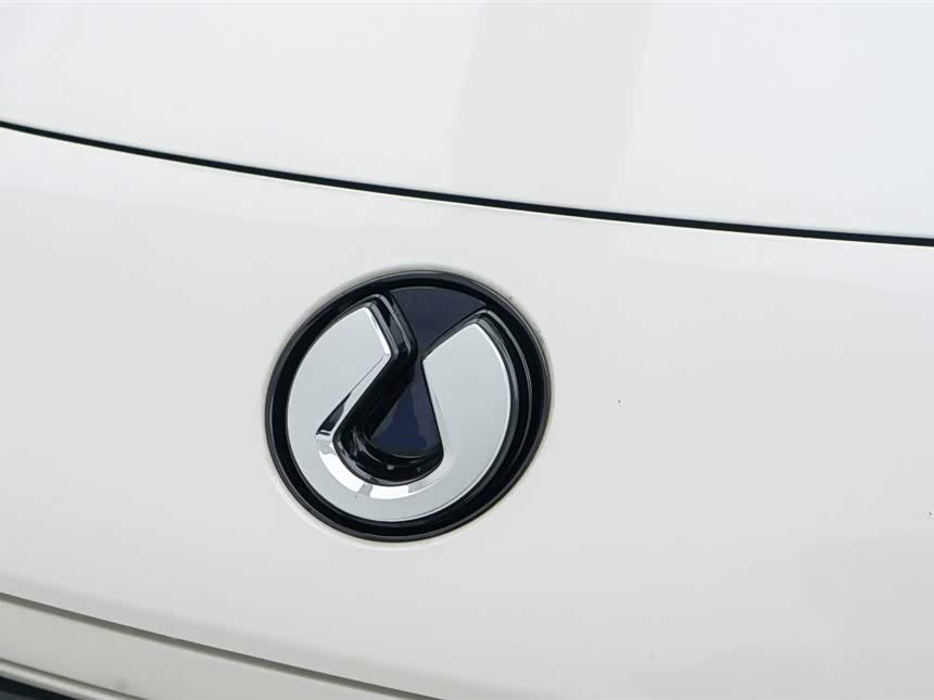 Denza Z9 2024 car image #10