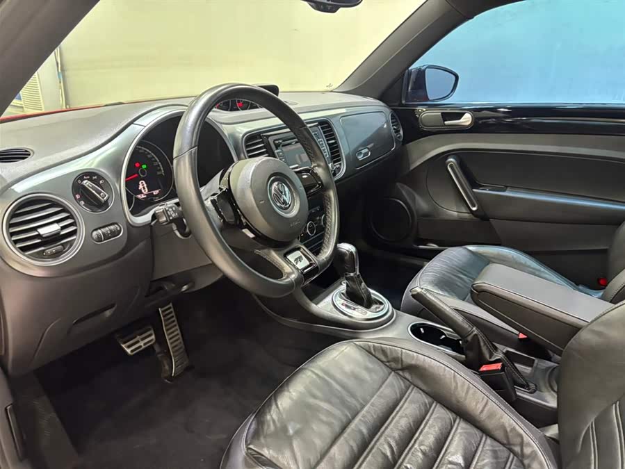 Volkswagen Beetle 2014 immagine di auto #10