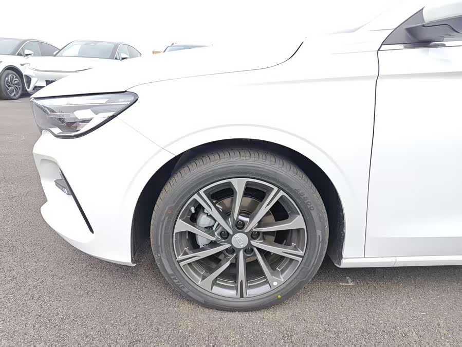 Emgrand 2021 car image #10