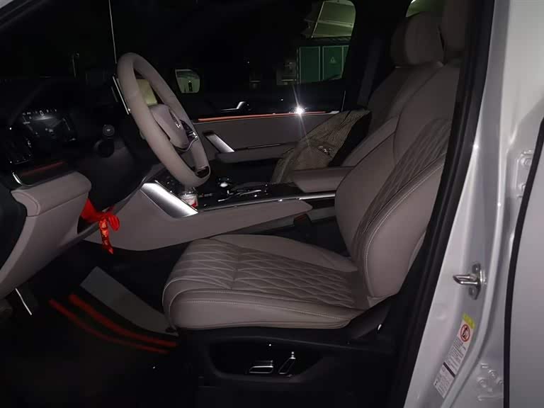 BYD Tang New Energy 2025 car image #10