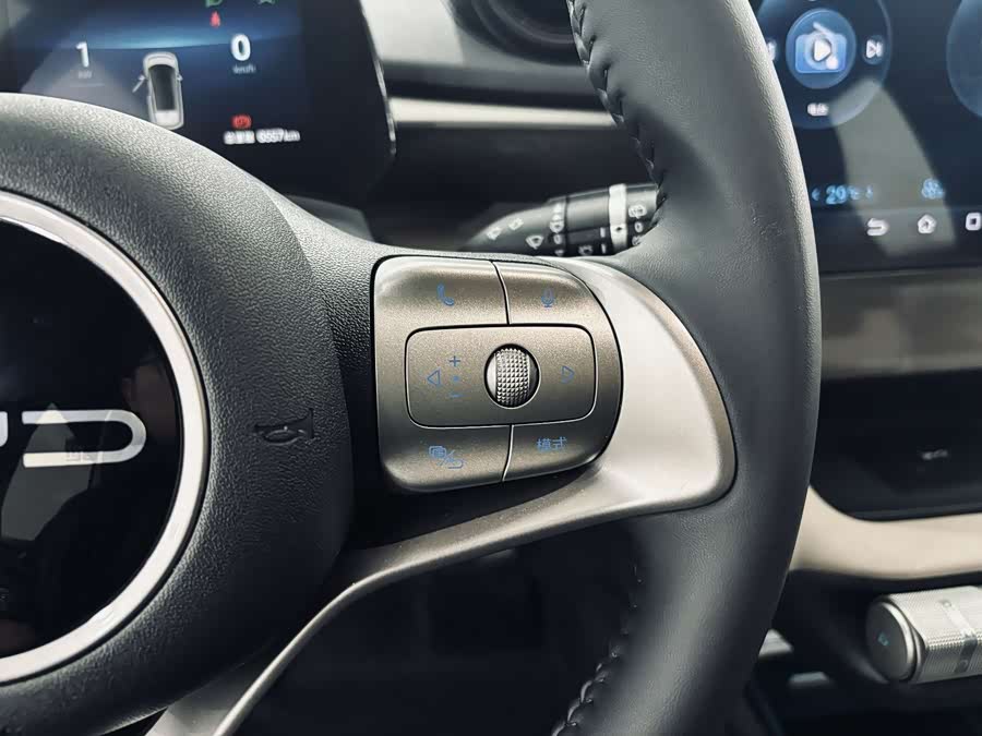 BYD Dolphin 2024 imagem de carro #10