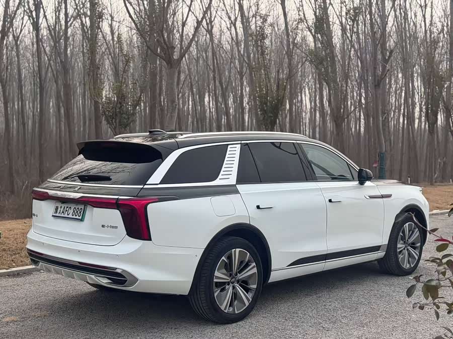 HongQi E-HS9 2021 immagine di auto #10