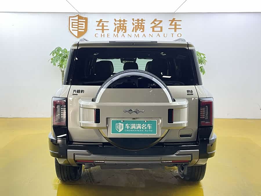 FangChengBao Leopard 8 2024 immagine di auto #10