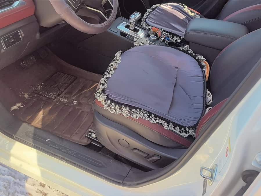 哈弗 哈弗H6 Coupe 2020 汽车图片 #10