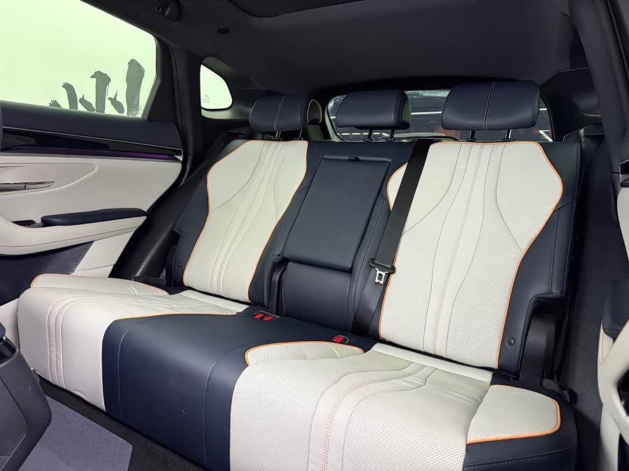 BYD Song Plus New Energy 2022 immagine di auto #10