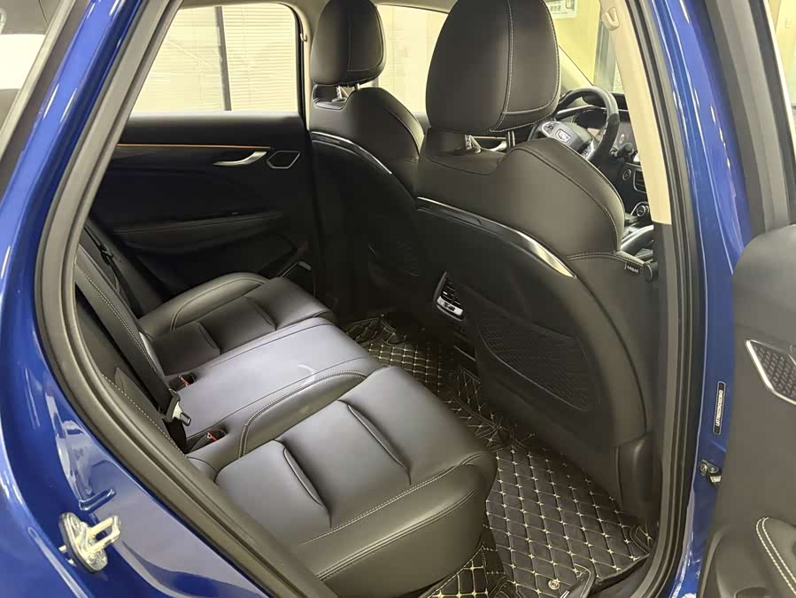 GEELY Tugella 2019 car image #10