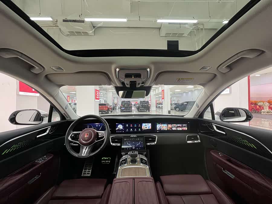 HongQi E-HS9 2023 immagine di auto #10