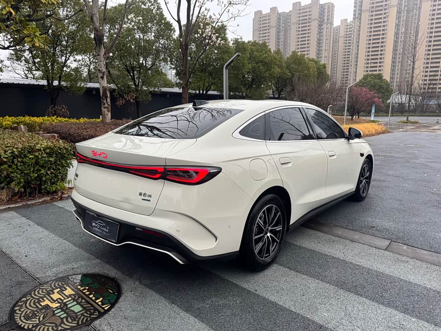 BYD Tang New Energy 2022 car image #10