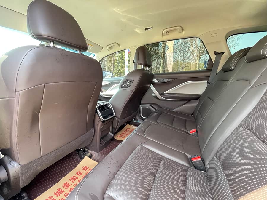 睿蓝汽车 枫叶80v 2020 汽车图片 #10