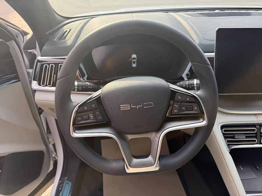 BYD Song Plus New Energy 2024 car image #10