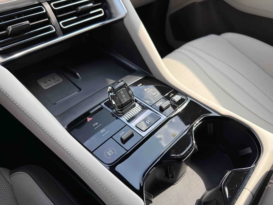 BYD Song Plus New Energy 2025 car image #10