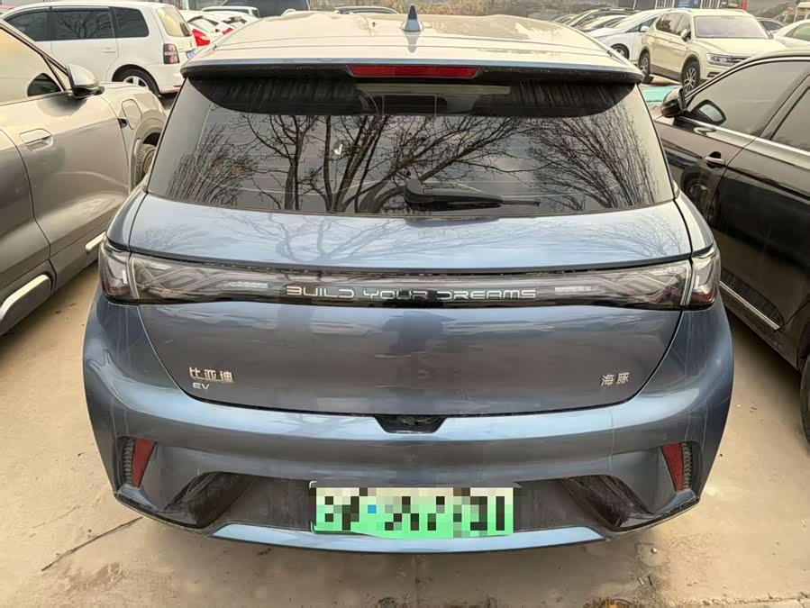 BYD Dolphin 2024 صورة سيارة #10