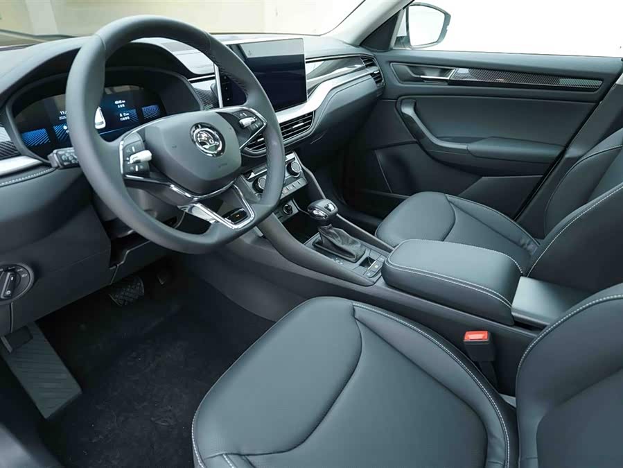 Skoda Kodiaq 2024 car image #10