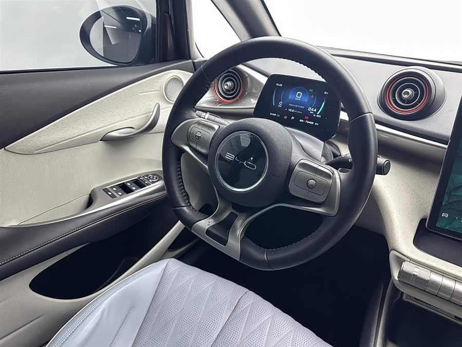 BYD Dolphin 2022 صورة سيارة #10