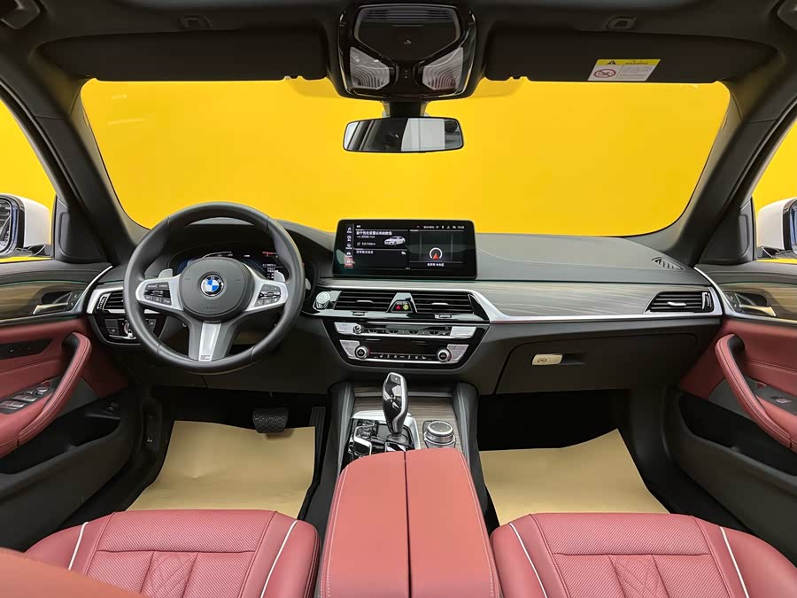 BMW 5 Series 2022 car image #10