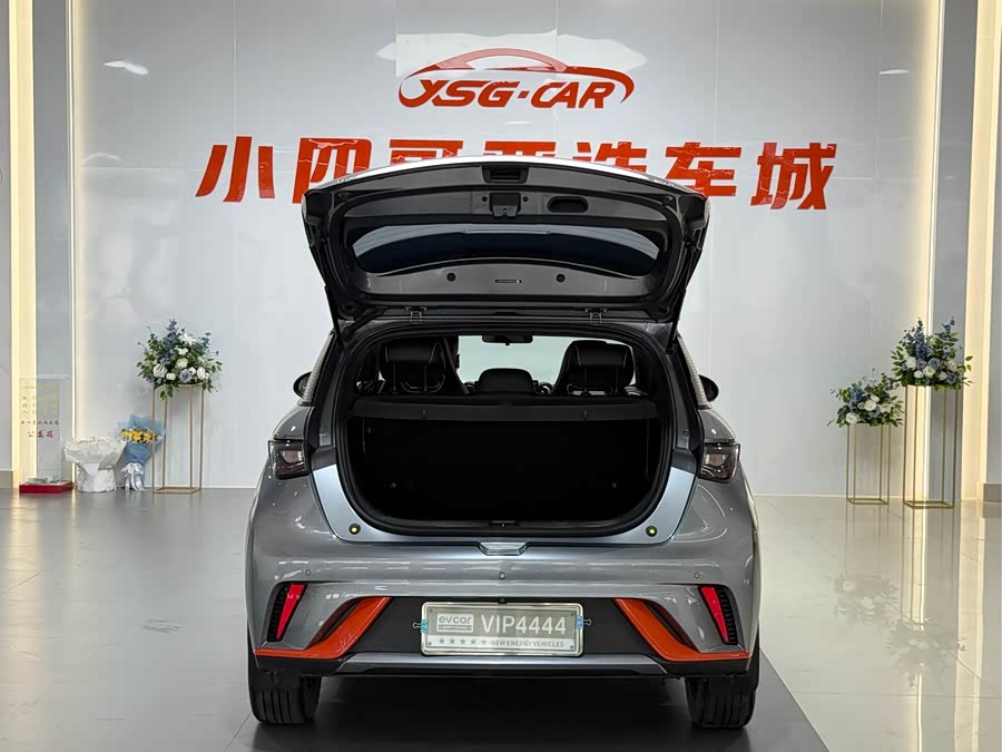 BYD Dolphin 2023 imagem de carro #10