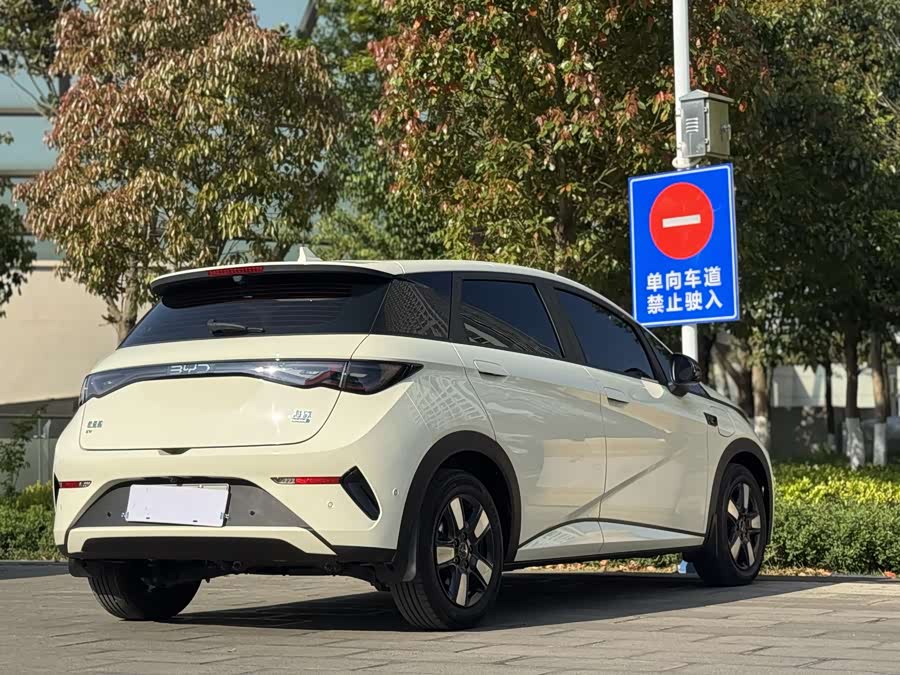 BYD Dolphin 2025 صورة سيارة #10