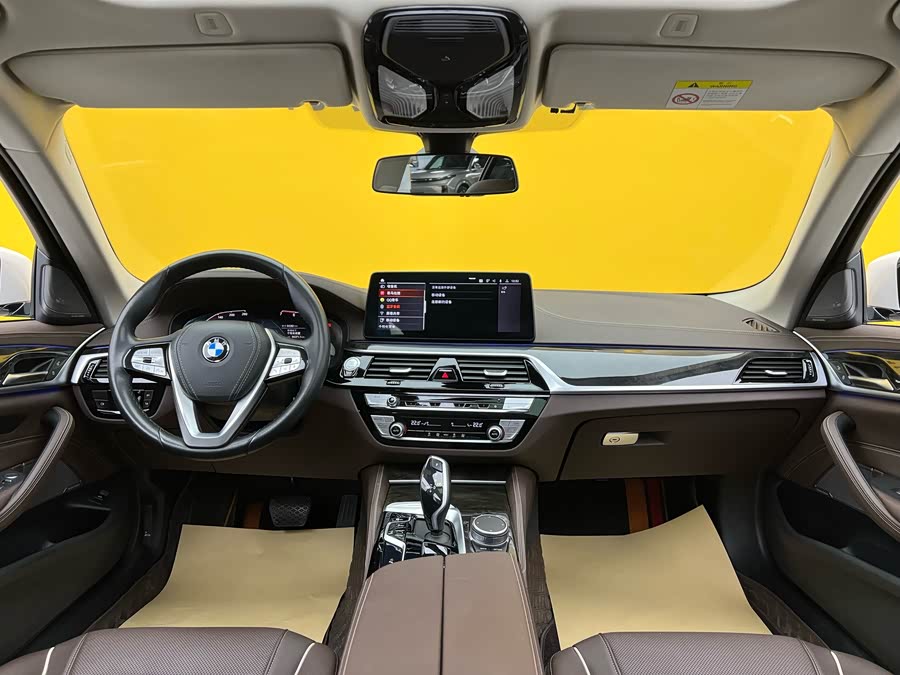 BMW 5 Series 2021 car image #10