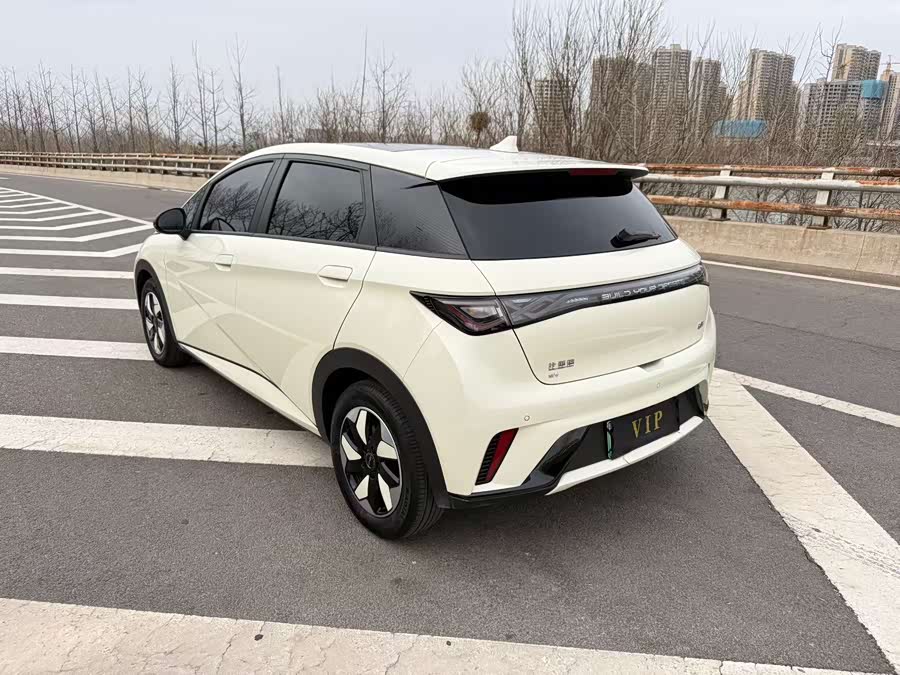 BYD Dolphin 2024 صورة سيارة #10