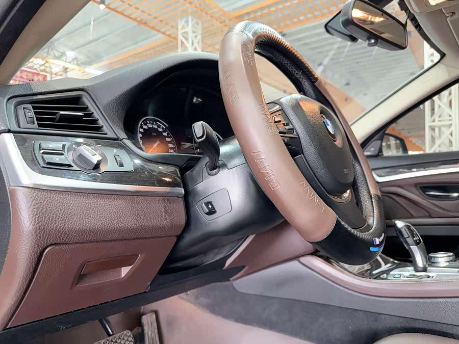 BMW 5 Series 2016 car image #10