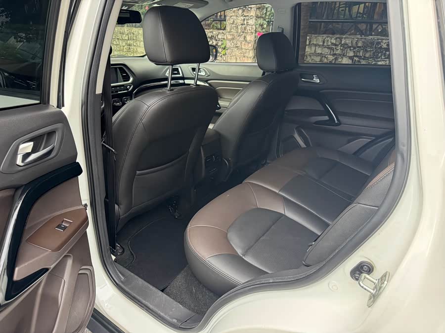 GAC Qizhi PHEV 2019 car image #10