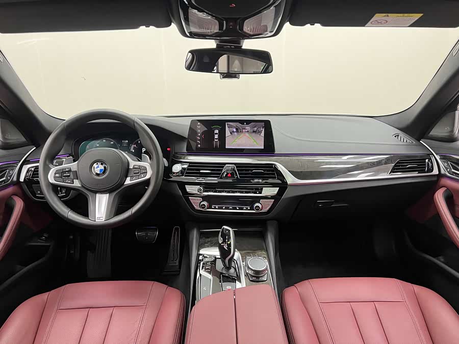 BMW 5 Series 2019 car image #10