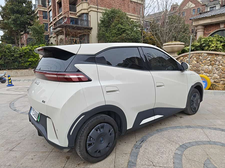 BYD Seagull 2025 car image #10