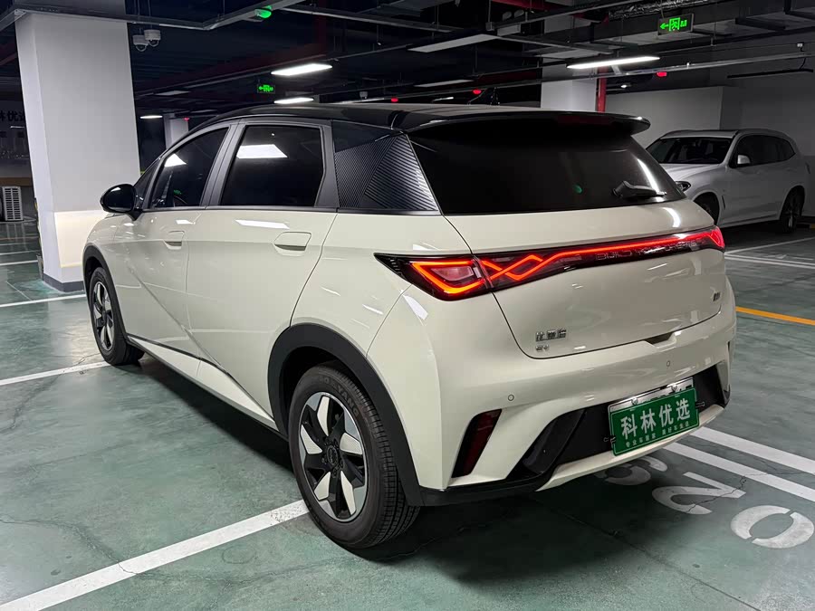 BYD Dolphin 2024 imagem de carro #10