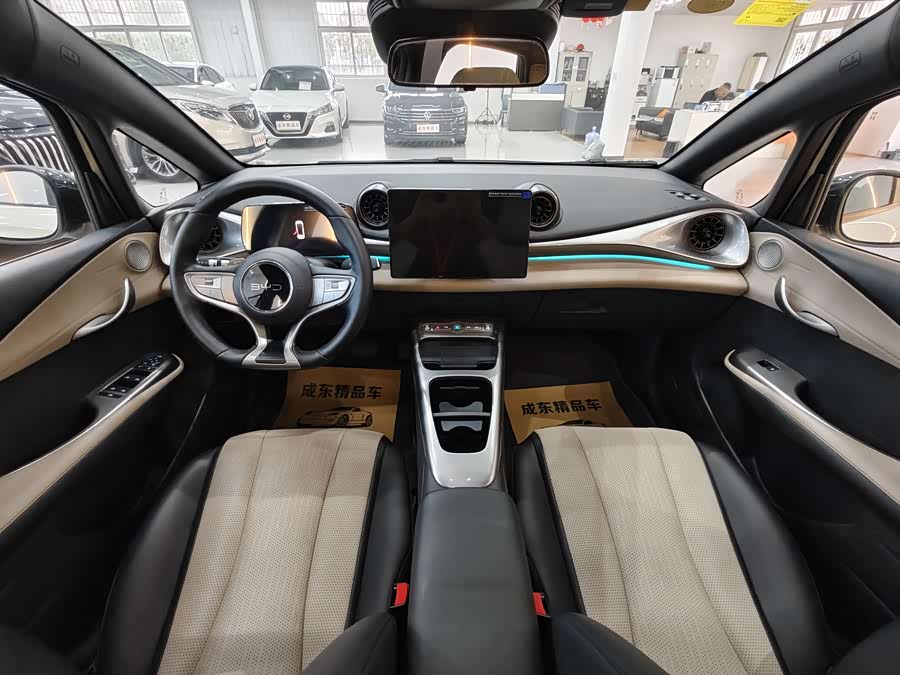 BYD Dolphin 2025 imagen de coche #10