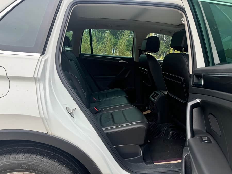 大众 Tiguan 2019 汽车图片 #10