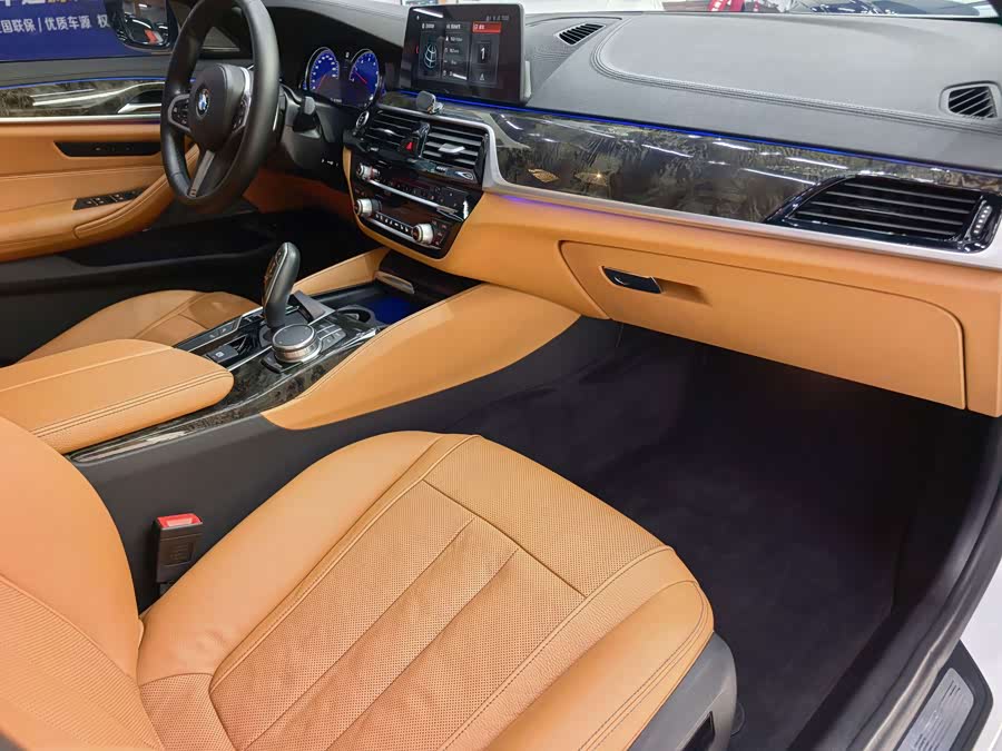 BMW 5 Series 2017 car image #10