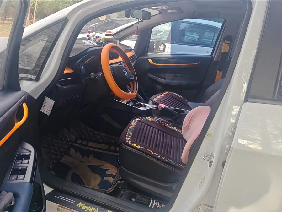 睿蓝汽车 睿蓝汽车X3 PRO 2022 汽车图片 #10