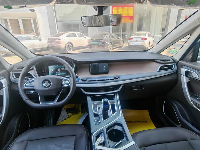 睿蓝汽车 枫叶80v PRO 2023 汽车图片 #10