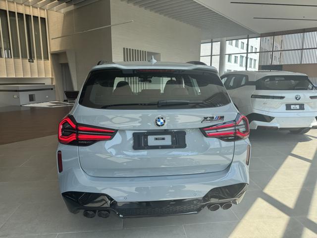 BMW X3 M car image #10