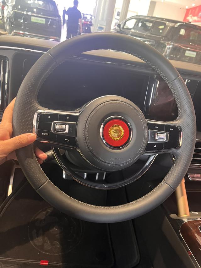 HongQi GuoYao car image #10