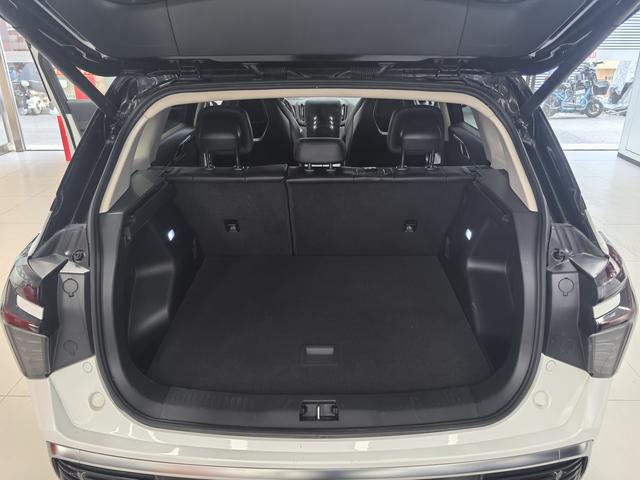 HongQi HS3 2023 immagine di auto #10