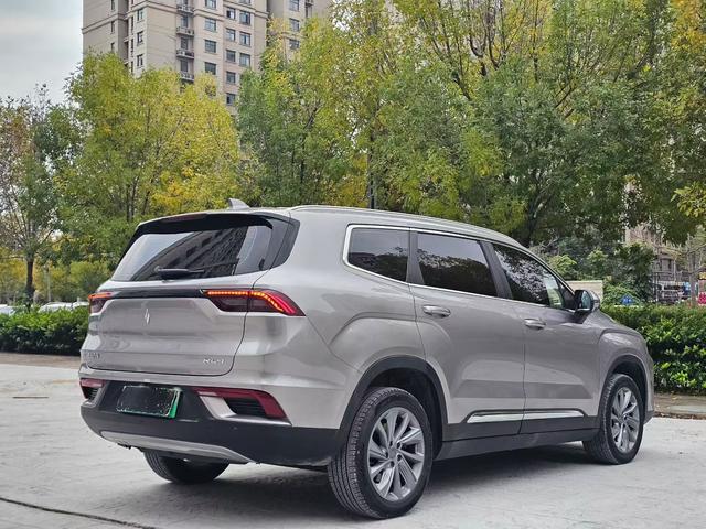 睿蓝汽车 睿蓝9 2023 汽车图片 #10