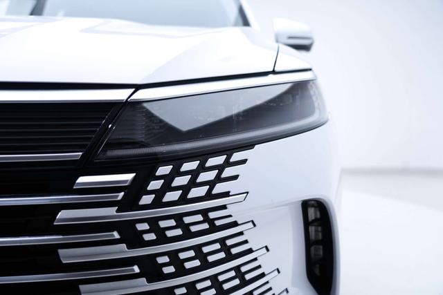 BYD Sea Lion 05 DM-i 2024 car image #10