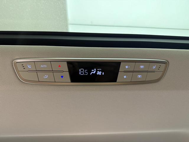 HongQi HQ9 PHEV 2025 #10 HongQi HQ9 PHEV 2025 car image #10